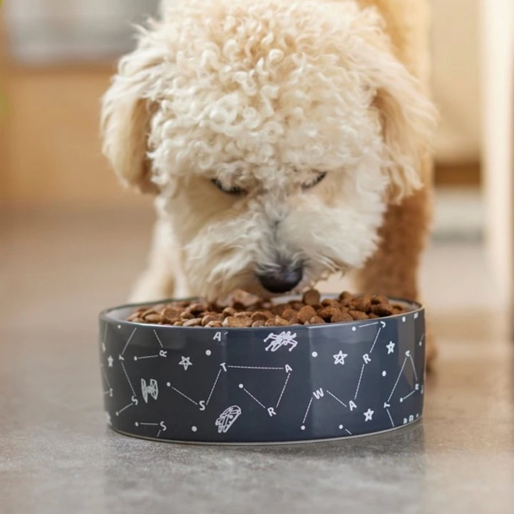 2 NIP Star Wars Constellation Ceramic Dog Cat bowl - Picture 5 of 8